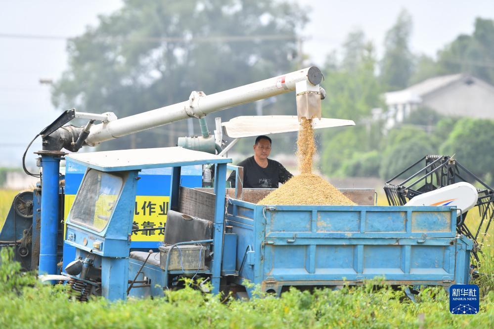 新游游戏厅
